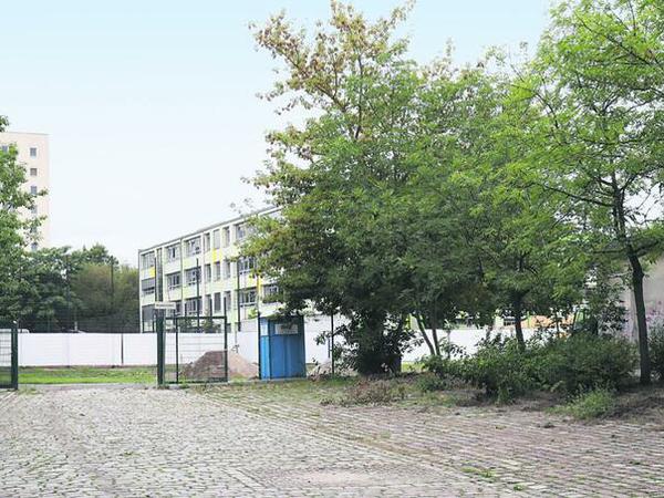 An der Luxemburg-Schule sollen 15 Bäume einer neuen Turnhalle weichen.