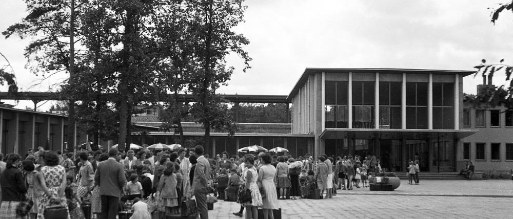 Hauptbahnhof im Kiefernwald. Ab 1960 hieß der Bahnhof Pirschheide „Hauptbahnhof Potsdam“.