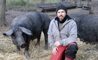 Schweinefleisch aus Weidehaltung: SOS vom Sauenhain in Potsdam - Potsdam - Startseite - Potsdamer Neueste Nachrichten
