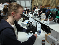Beim Potsdamer Tag der Wissenschaften können Besucher selbst experimentieren - hier bei einer früheren Ausgabe. 
