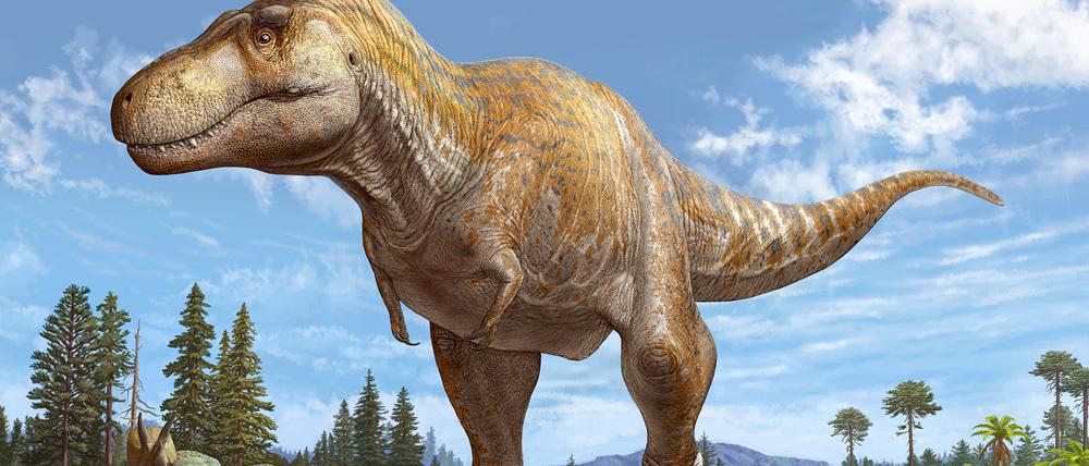So könnte die neu beschriebene Art ausgesehen haben. Die Raubsaurier entwickelten ihre Körpergröße wahrscheinlich, weil sie so auch große Beutetiere überwältigen konnten.