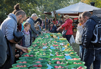 Das Apfelfest im Potsdamer Volkspark, hier ein Bild aus dem Jahr 2018. 
