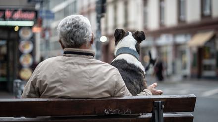 Ein Mann und ein Hund sitzen am Rande der Innenstadt gemeinsam auf einer Bank, beobachten die Straßenszenerie und lassen Verkehr und Menschen an sich vorbeiziehen.