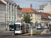 Für mehr Fahrgäste bräuchte es auch mehr Trams und Busse. Foto: Soeren Stache/dpa-Zentralbild