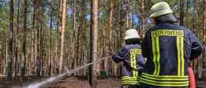 Zwei Kameraden der Freiwilligen Feuerwehr löschen letzte Glutnester bei einem kleinen Brand in einem Kiefernwald nahe Wünsdorf.