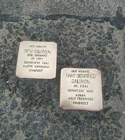 Seit 2014 erinnern zwei Stolpersteine in der Klaistower Straße an Resi Salomon und ihren Sohn Hans Siegried.
