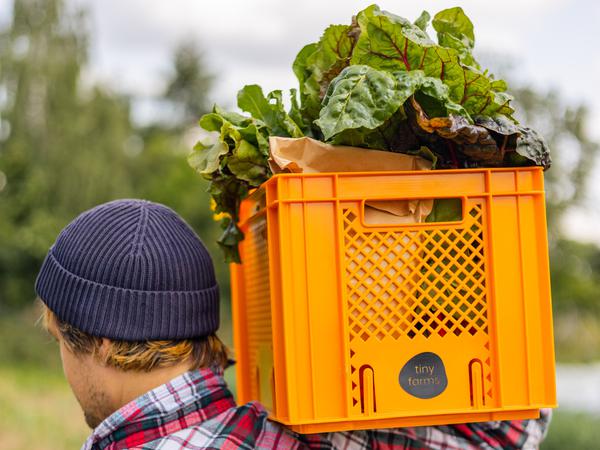 Frisch geerntet: Tiny Farms bietet jetzt auch eine Abo-Kiste an, die wöchentlich 6 bis 8 Sorten Biogemüse nach Hause bringt (Infos unter: tinyfarms.de/veggies). 
