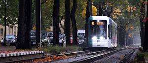 Straßenbahn in der Heinrich-Mann-Allee: Der Verkehrsbetrieb in Potsdam erhöht die Fahrpreise.