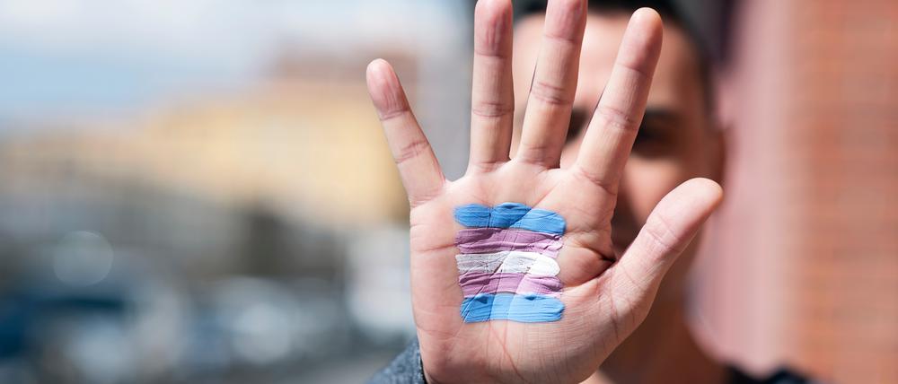 Die Transgender-Flagge auf die Hand geschminkt.
