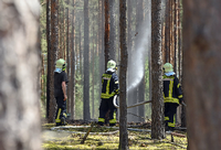 Im Landkreis Ostprignitz Ruppin hat es nach Angaben der Polizei in den vergangenen Tagen drei Waldbrände sowie weitere Feuer gegeben. (Archivbild)