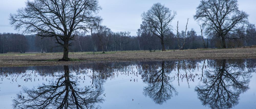 Bäume spiegeln sich auf der Wasserfläche auf einem teilweise überfluteten Acker. Nach einem regenreichen Winter mit Überschwemmungen hoffen Landwirte auf einen trockenen Frühling. 