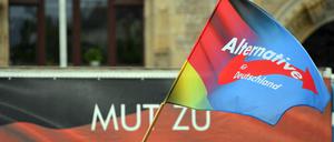 Eine Fahne mit dem Parteilogo der AfD weht während einer Kundgebung der AfD Sachsen-Anhalt auf dem Marktplatz.