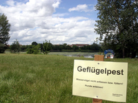 Deutschlandweit gab es bisher 1000 Ausbrüche unter Wildvögeln.