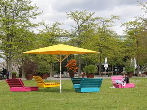 Mehr Sitzgelegenheiten und Schatten – eines der Vorhaben im Volkspark Potsdam.