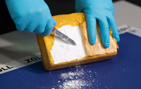 Ein Zollbeamter öffnet ein Paket mit Kokain, das von Beamten sichergestellt wurde. In Potsdam ist ein Kurier bei der Drogenübergabe geschlagen worden. (Symbolbild)