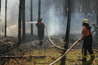 In Brandenburg brennen derzeit wieder Wälder, wie hier bei Wolfslake. 