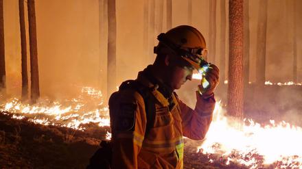 Einsatzkräfte der Hilfsorganisation @fire legten im Sommer Gegenfeuer, um eine weitere Ausbreitung des Waldbrandes bei Beelitz zu verhindern und die Feuerwehr bei der Bekämpung des Feuers zu unterstützen. 