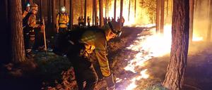 Als im vergangenen Sommer bei Beelitz zu einem Waldbrand kam, legten Einsatzkräfte der Hilfsorganisation @fire kontrolliert Gegenfeuer, um eine weitere Ausbreitung des Waldbrandes zu verhindern. 