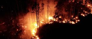 Flammen schlagen bei Nacht in einem Waldstück nahe Jüterbog in die Höhe.