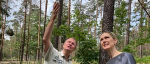 Der Direktor der Berliner Forsten, Gunnar Heyne und die Berliner Umweltsenatorin Manja Schreiner (CDU) unterhalten sich über die Waldbrandprävention.