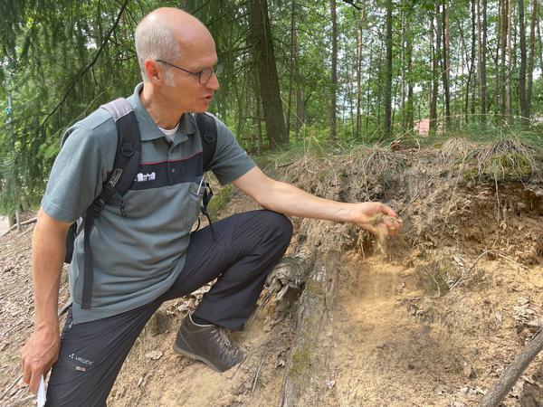 Dirk Riestenpatt vom Referat Forstbetrieb erklärt die verschiedenen Bodenschichten und die Brandgefahr des der Kiefernadeln.