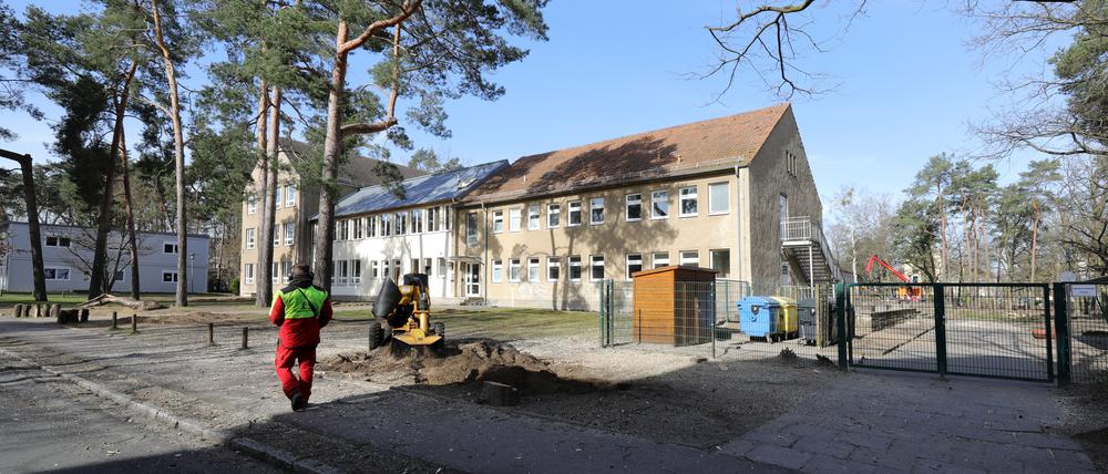 Baumfällarbeiten auf dem Gelände der Waldstadt-Grundschule. 