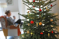 Einsamkeit an Weihnachten muss nicht sein. In Potsdam gibt es über die Feiertage allerhand Möglichkeiten, etwas zu unternehmen. 