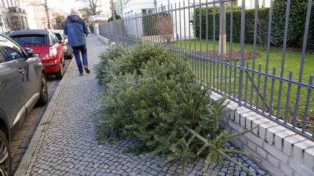 Weihnachtsbaum Entsorgung an einem Gartenzaun in der Helene-Lange-Straße in Potsdam