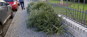 Weihnachtsbaum Entsorgung an einem Gartenzaun in der Helene-Lange-Straße in Potsdam