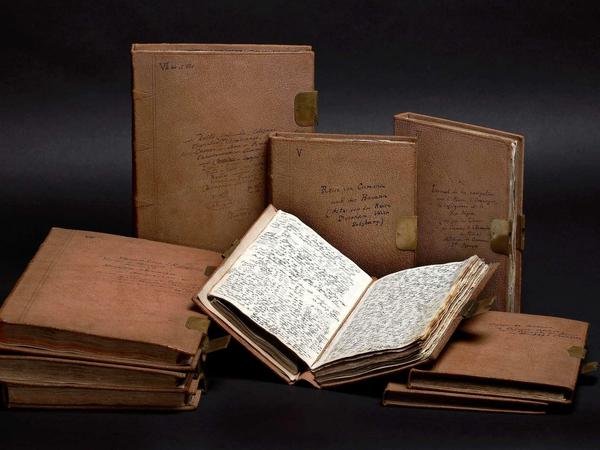 Die Reisetagebücher von Alexander von Humboldt