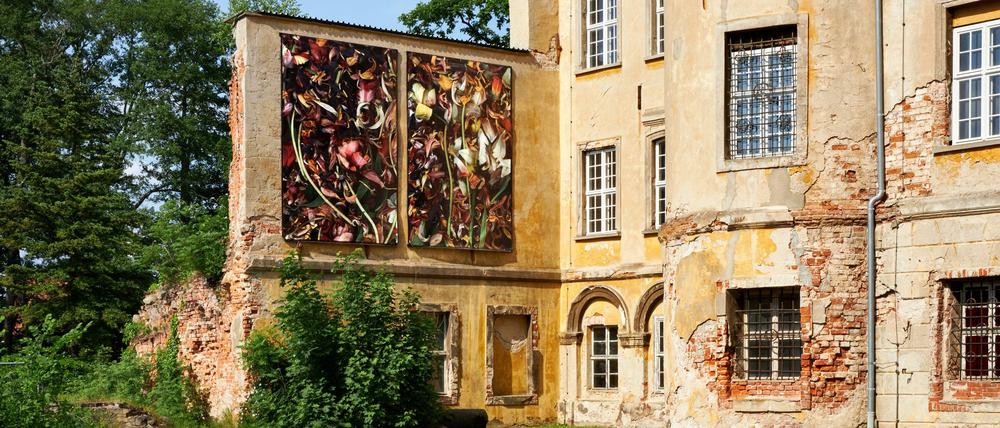 Blumengemälde von Luzia Simons hängen an der Fassade von Schloss Lieberose.
