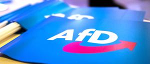 ARCHIV - 24.11.2018, Bayern, Greding: Fähnchen mit dem Logo der AfD liegen beim Landesparteitag der AfD Bayern auf einem Tisch. (zu dpa "Kreistag muss neu über AfD-Nachrücker entscheiden") Foto: Daniel Karmann/dpa +++ dpa-Bildfunk +++