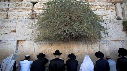 An der Klagemauer in der Altstadt Jerusalems werden am Samstag zum Versöhnungsfeste zehntausende religiöse Juden zum Gebet erwartet. 