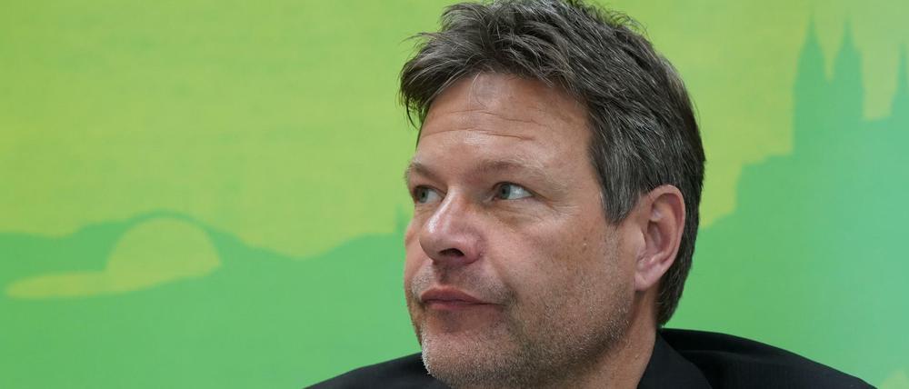 Grünen-Chef und ehemaliger Umweltminister in Schleswig-Holstein, Robert Habeck. 