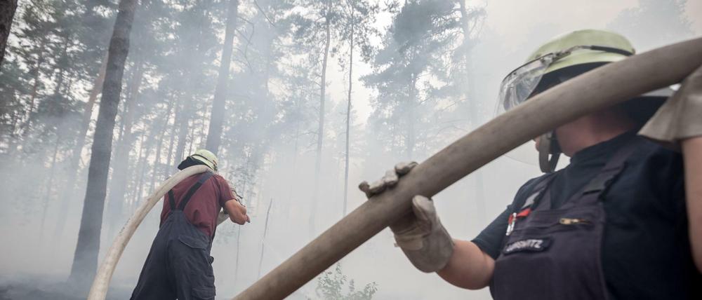 Im Feuer: Neun Tage löschten rund 600 Kameraden im Wald bei Treuenbrietzen. 