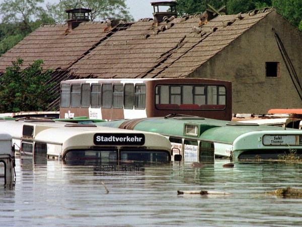 Fast bis zum Dach unter Wasser standen diese Busse nahe Eisenhüttenstadt unter Wasser.