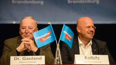 AfD-Bundessprecher und Ehrenvorsitzender Alexander Gauland (l.) und Landesvorsitzender Andreas Kalbitz sitzen beim Landesparteitag in Brandenburg.
