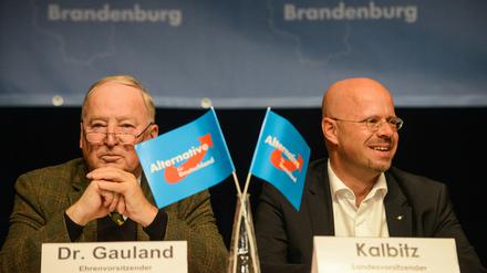Ehrenvorsitzender Alexander Gauland (l) und Landesvorsitzender Andreas Kalbitz bei einem Parteitag in Brandenburg im Oktober.