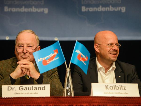 Ehrenvorsitzender Alexander Gauland (l) und Landesvorsitzender Andreas Kalbitz bei einem Parteitag in Brandenburg im Oktober.