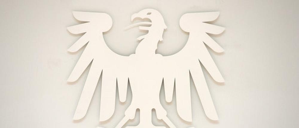 Unschuldige Kunst, dem Farbrausch der Öffentlichkeit ausgesetzt. Um die Farbe des Adlers im Brandenburger Landtag wird heftig gestritten.