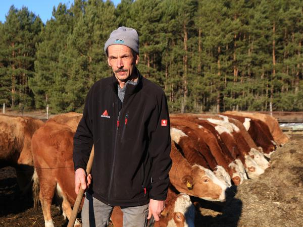 Bio-Landwirt Jürgen Frenzel und seine Kühe. 44 Kälber hat er 2017 verloren.