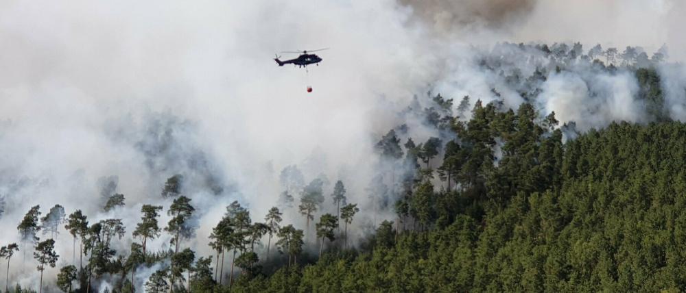Im Juni 2019 brannt es auf über 100 Hektar in der Lieberoser Heide (Dahme-Spreewald).
