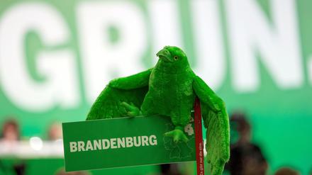 Brandenburgs Grüne sind im Aufwind.