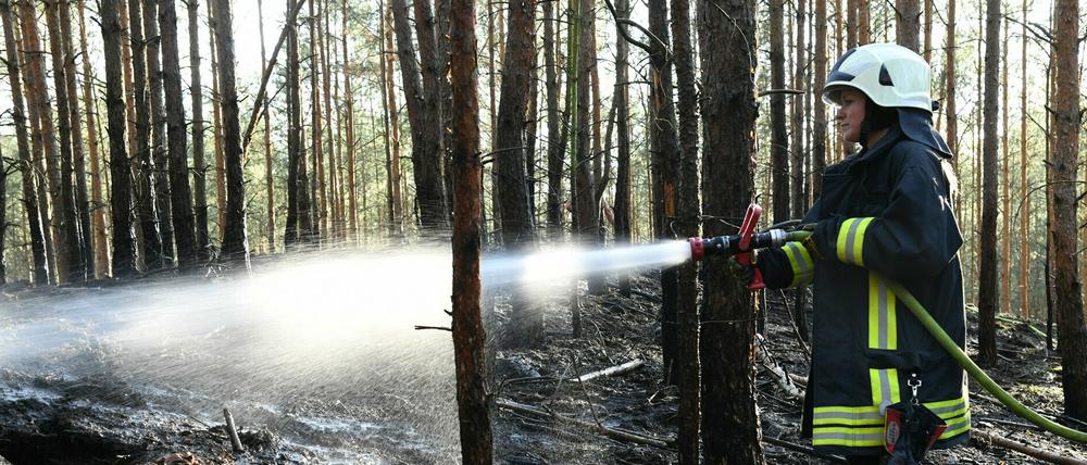 Am Mittwoch hat es in einem Waldgebiet in der Nähe von Groß Kreutz (Potsdam-Mittelmark) gebrannt, 300 Quadratmeter Wald hatten Feuer gefangen.