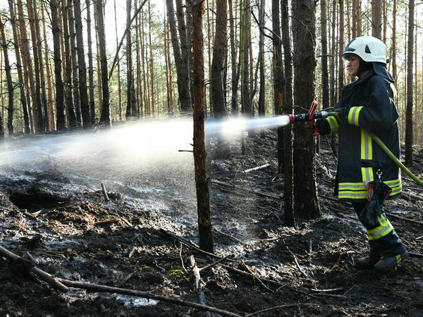 In einem Waldgebiet in der Nähe von Groß Kreutz (Kreis Potsdam-Mittelmark) löscht die Feuerwehr vergangene Woche einen Brand.