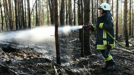 Brandenburgs Feuerwehren mussten in den vergangenen Wochen zu zahlreichen Waldbränden ausrücken.