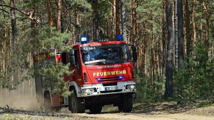 Die Feuerwehren im Land rückten bereits zu ersten kleineren Waldbränden aus (Symbolbild).