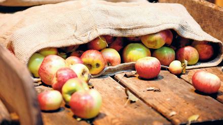 "In diesem Jahr wurde uns 20 bis 30 Prozent weniger Obst angeliefert", sagt der Geschäftsführer der Mosterei Klimmek.