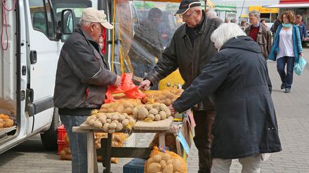 Die diesjährige Kartoffelernte in Brandenburg fiel schlecht aus.