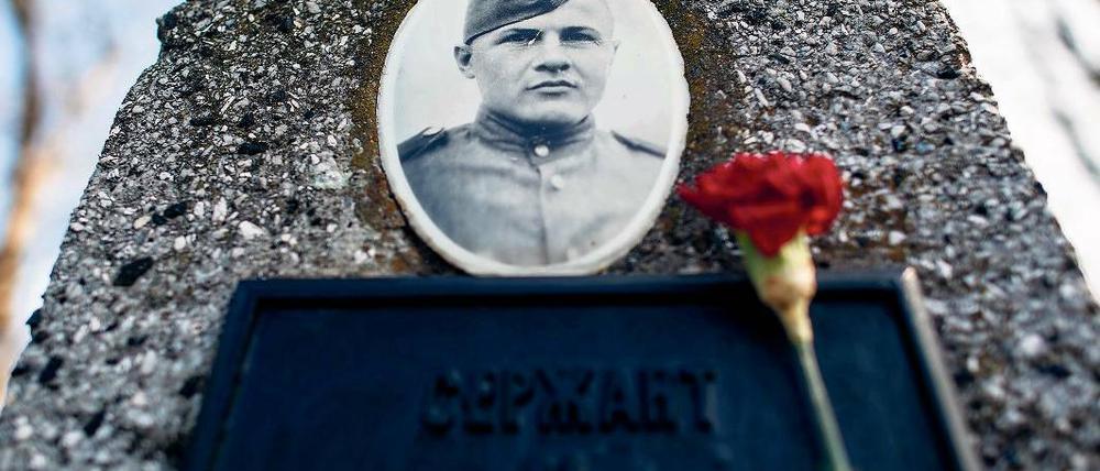 Gedenken mit Nelke. Ein Grabstein auf einem Gräberfeld für gefallene Soldaten der Roten Armee auf dem Gelände der Gedenkstätte Seelower Höhen, auf dem auch ein Foto an den jungen Mann erinnert, der dort sein Leben ließ.